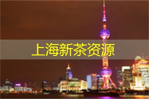 升级你的茶道体验,在上海新茶工作室找到灵感! 升级你的茶道体验,在上海新茶工作室找到灵感!